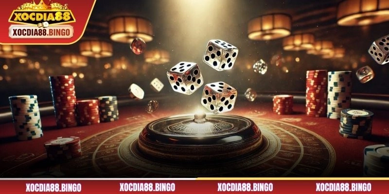 Bí kíp đặt cược hiệu quả cho người mới 