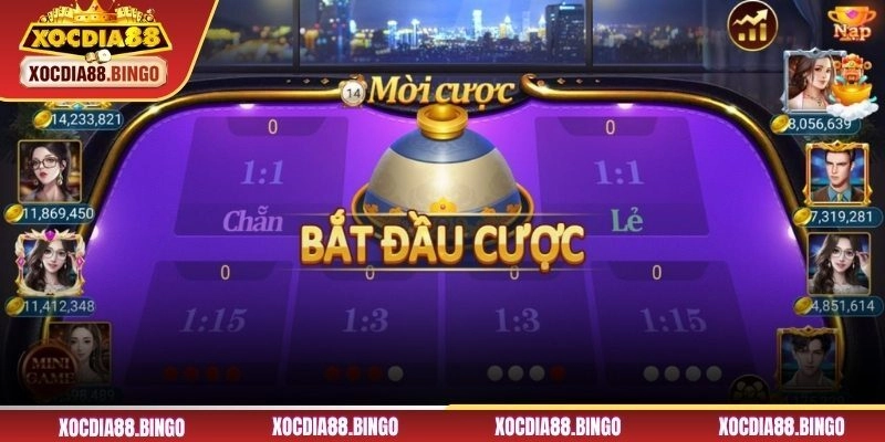 Bí quyết phân tích xác suất xóc đĩa hiệu quả