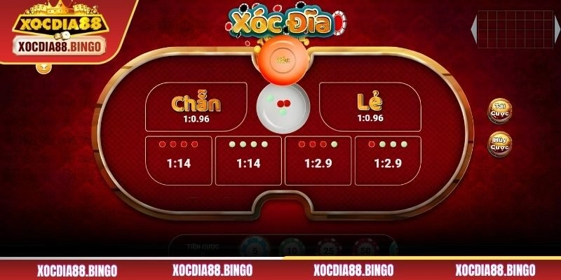 Các kiểu cầu Xóc đĩa thường thấy nhất hiện nay