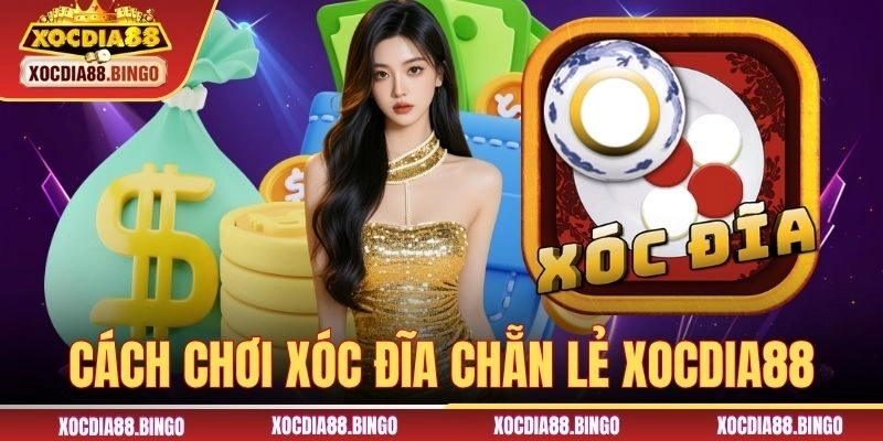 Cách chơi Xóc đĩa chẵn lẻ