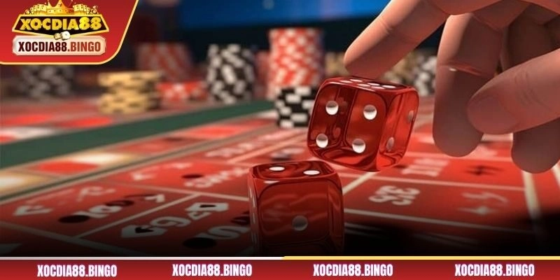 Chuyên gia khuyên không nên đánh tài xỉu qua cảm tính