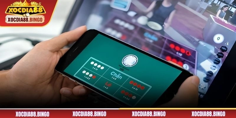 Cơ chế hoạt động Xóc đĩa và yếu tố ảnh hưởng