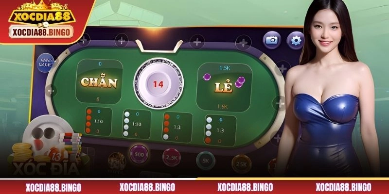 Hướng dẫn luật chơi chi tiết cho tân binh