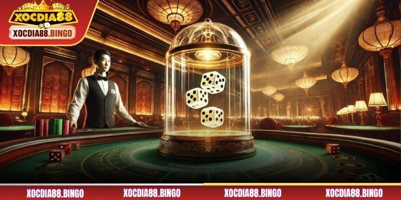 Khám phá về cách đặt cược xóc đĩa