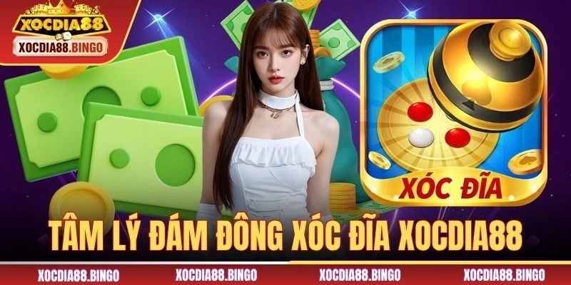 Tâm Lý Đám Đông Xóc Đĩa – Bí Quyết Chiến Thắng Cho Tân Thủ