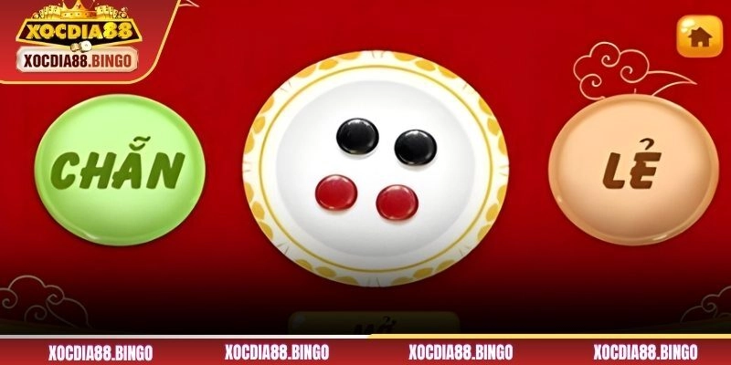 Tìm hiểu thêm về app xóc đĩa uy tín