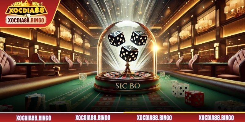 Tìm hiểu về chuỗi thua tài xỉu