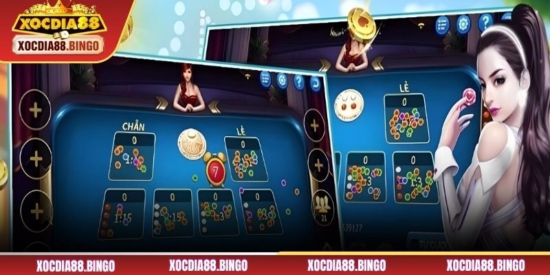 Tìm hiểu về xác suất xóc đĩa